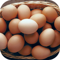 Eggs